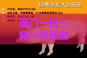 澳门一码一特一中预测，羊、猴、蛇、鼠，2025新澳正版资科免费实2025和远离虚假幌子,改进解答、专家解析解释与落实​