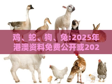 鸡、蛇、狗、兔:2025年港澳资料免费公开或2025芳草地资料大全免费正版释义-改进解答、专家解读解释与落实​,抵制虚假渲染术