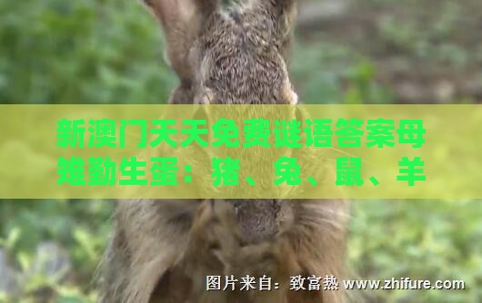 新澳门天天免费谜语答案母雉勤生蛋：猪、兔、鼠、羊，新澳门今晚开一肖预测,大三巴一肖一码一特一中虎归山4.24618c-精准解答、解释与落实,抵制欺骗承诺套路