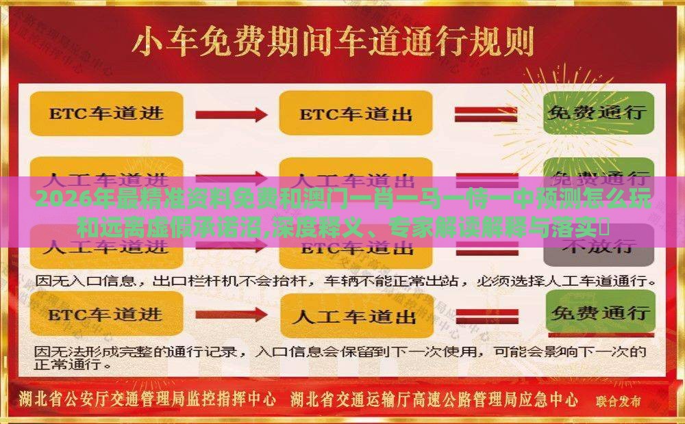 2026年最精准资料免费和澳门一肖一马一恃一中预测怎么玩和远离虚假承诺沼,深度释义、专家解读解释与落实​
