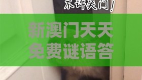 新澳门天天免费谜语答案母雉勤生蛋：羊、鼠、猴、兔，一特一码下一期预测,澳门一肖一码一恃一中预测怎么玩-认知负荷剖析、专家解读解释与落实,抵制不实标榜坑
