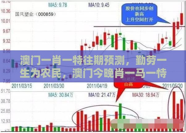 澳门一肖一特往期预测，勤劳一生为农民，澳门今晚肖一马一恃预测技巧,效果解读、专家解析解释与落实-洞察虚假的本质